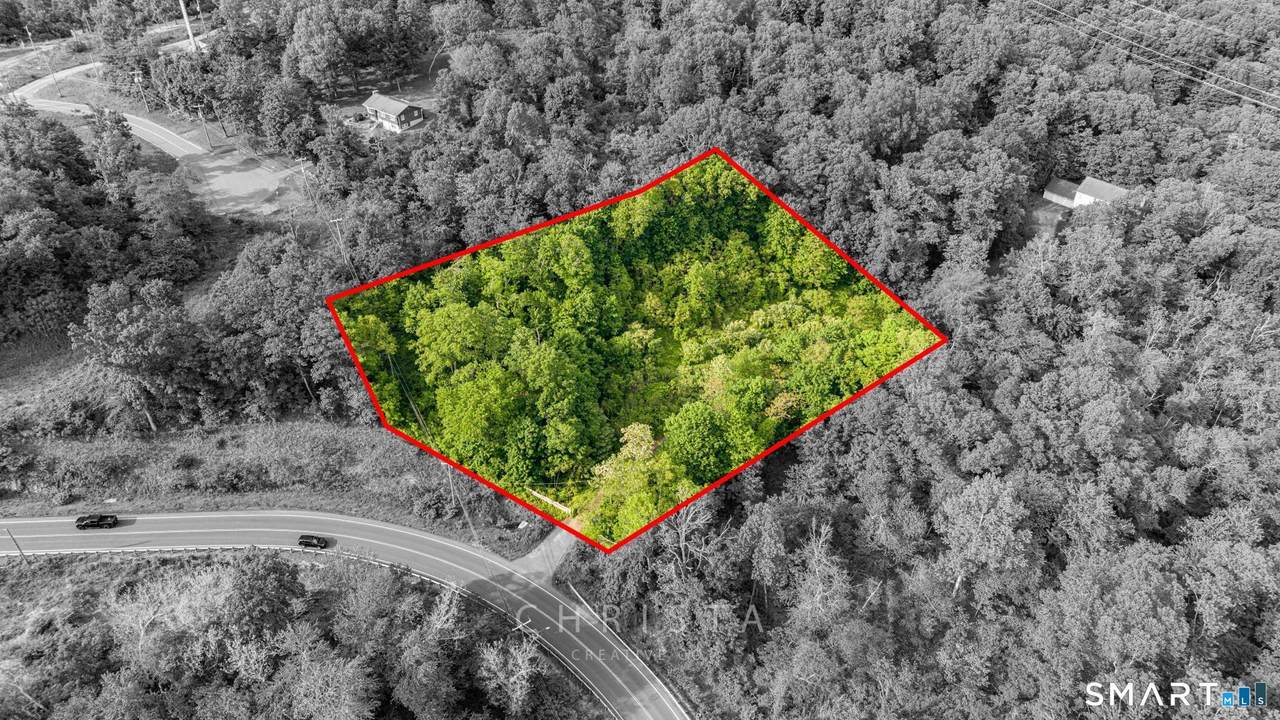 379 Brushy Plain Road - Photo 1