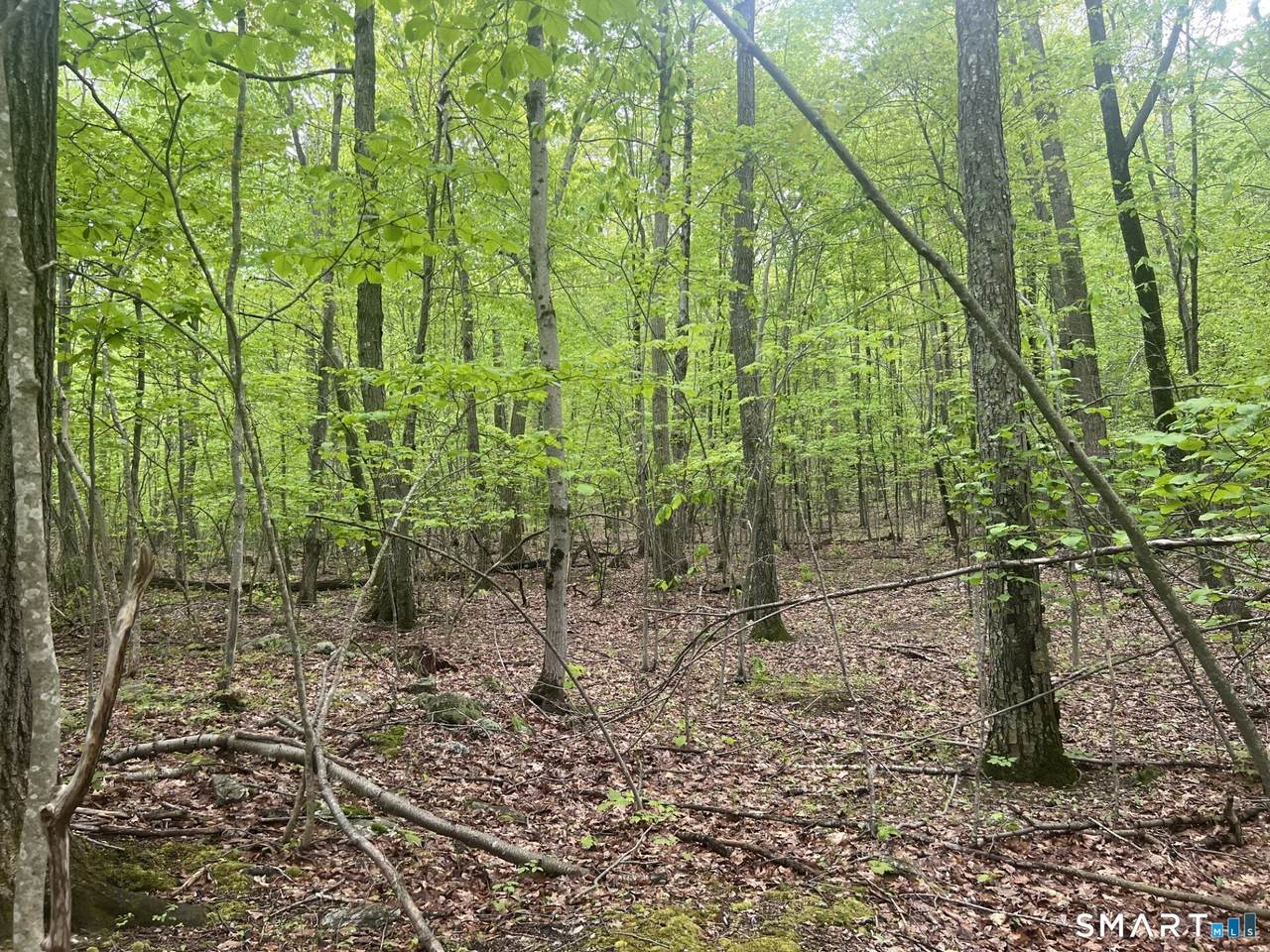 https://bt-photos.global.ssl.fastly.net/ctmls/orig_boomver_1_24179031-1.jpg