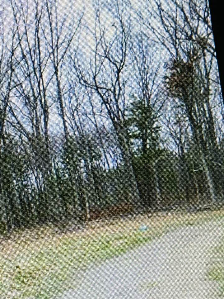 25 Matthew Lane - Photo 1
