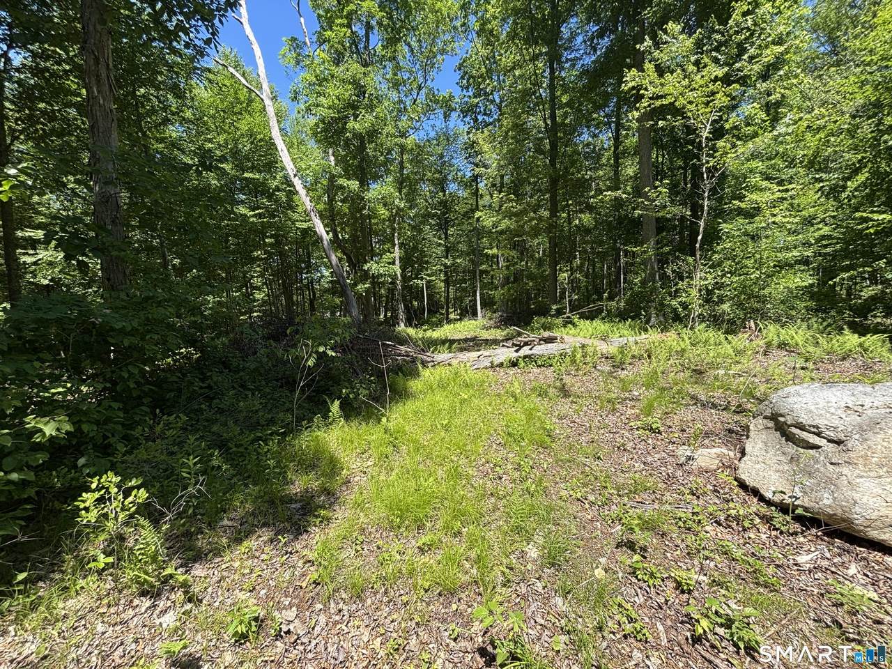 295 Providence Turnpike - Photo 1