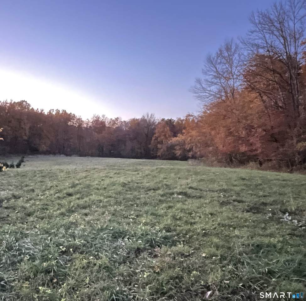 384 Scotland Road - Photo 1