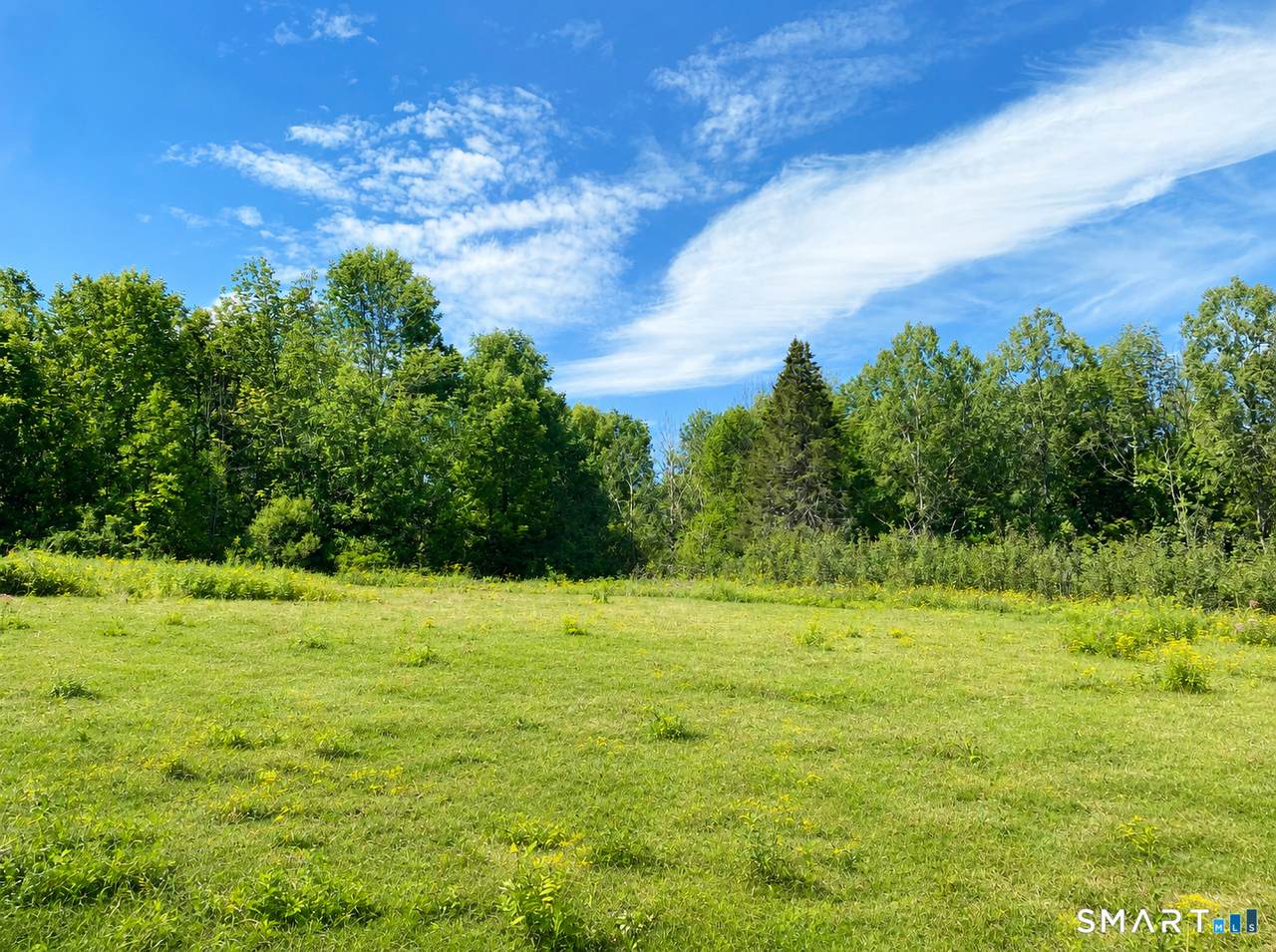 -00 Colebrook Road - Photo 1