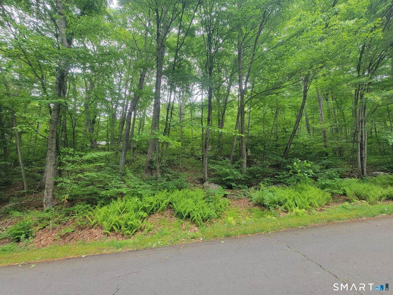 17 (Lot 2) Secret Mountain Trail - Photo 1