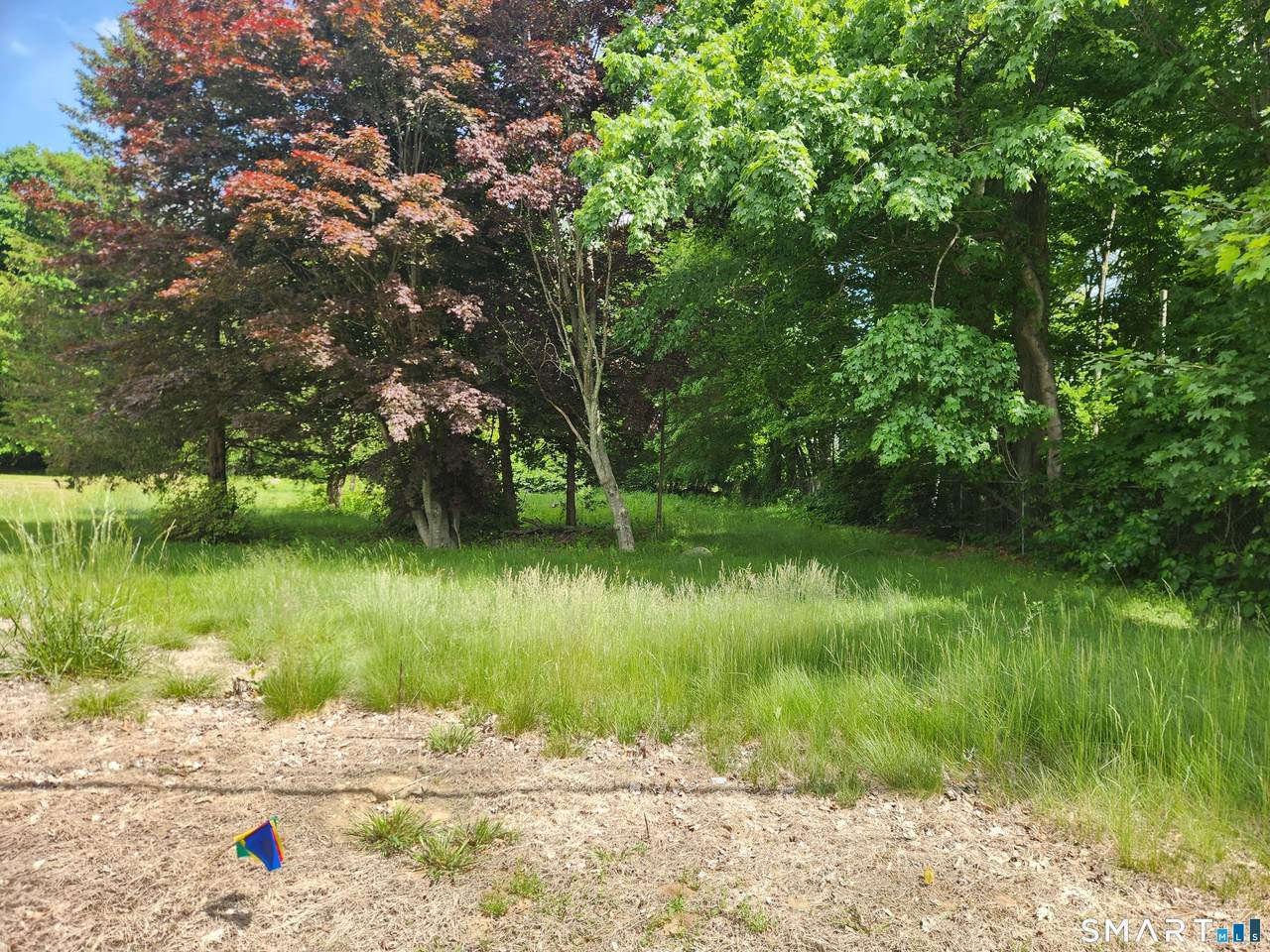 242 Browning Road - Photo 1