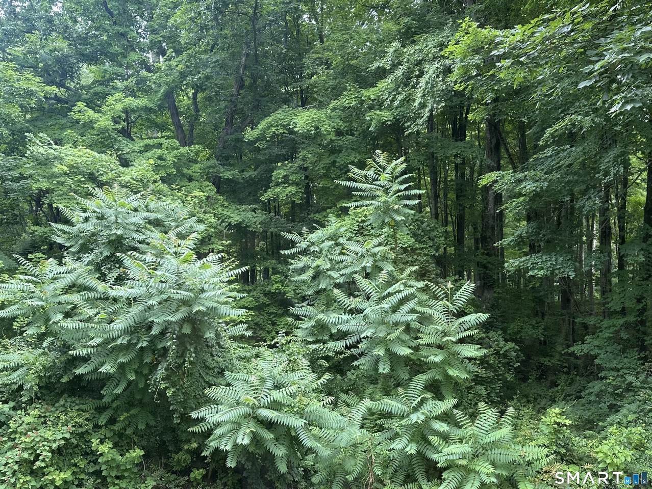  Kelseytown Bridge Road - Photo 1