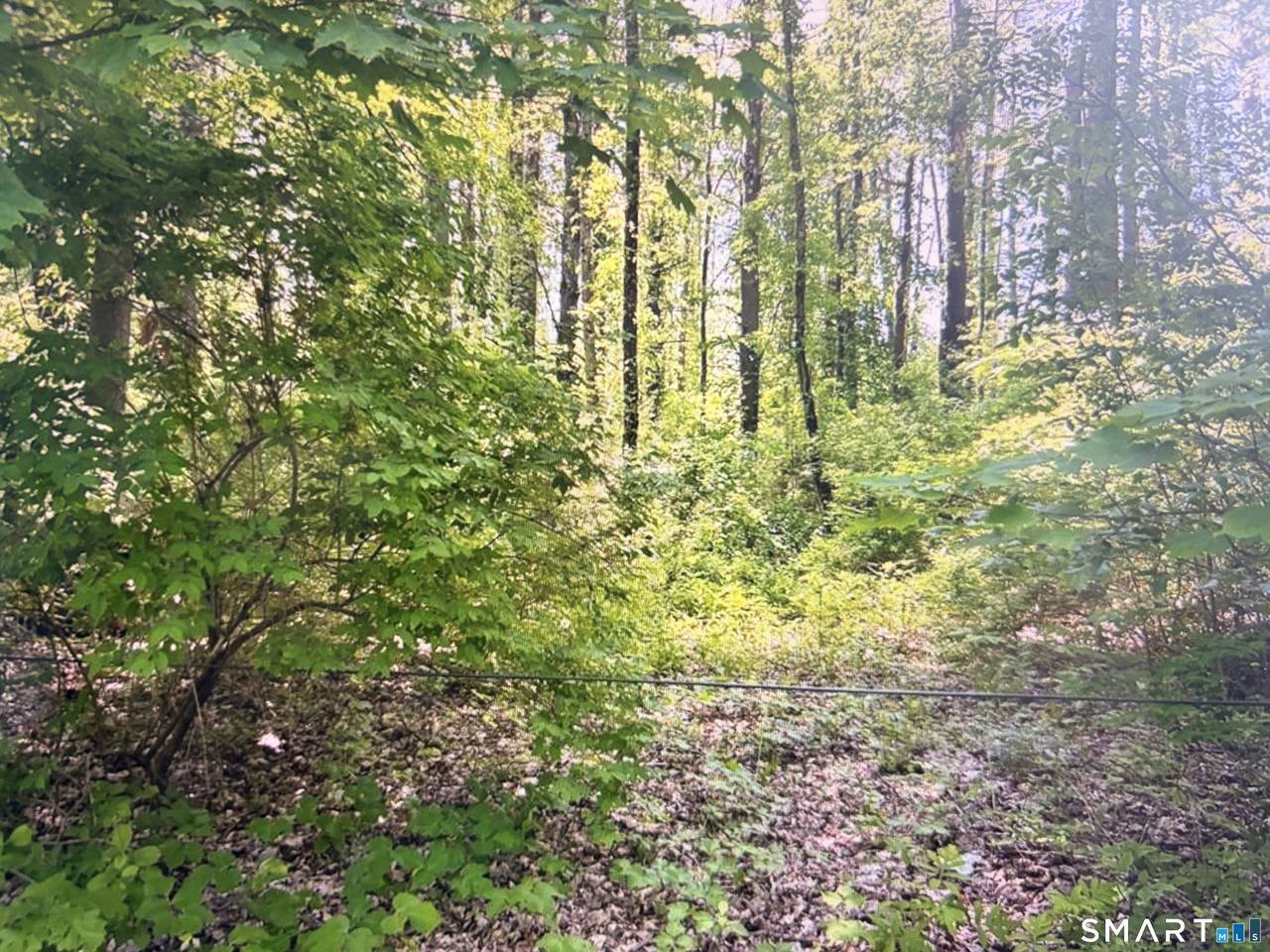 62 Route 126 - Photo 1