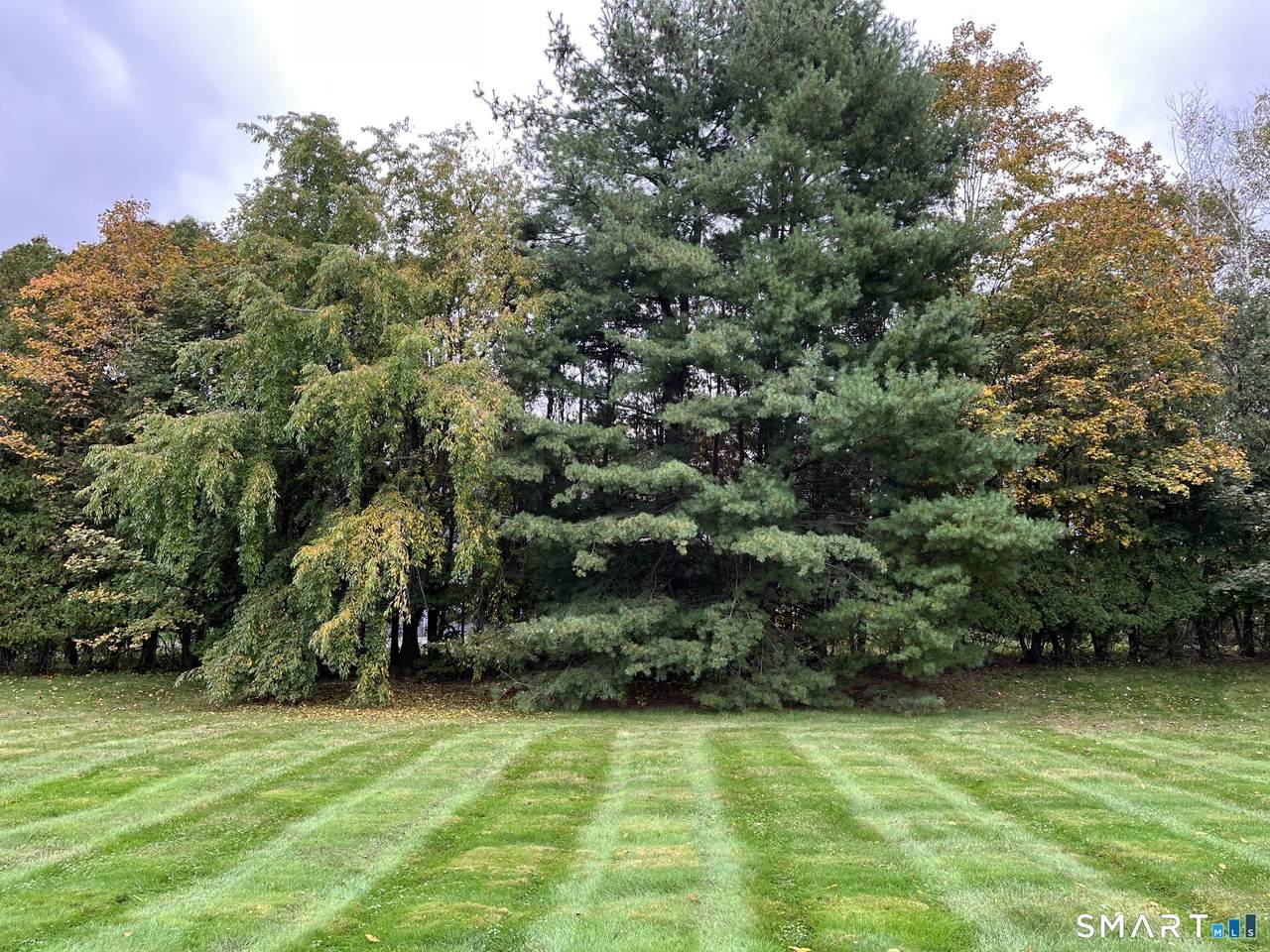 212 Church Street - Photo 1