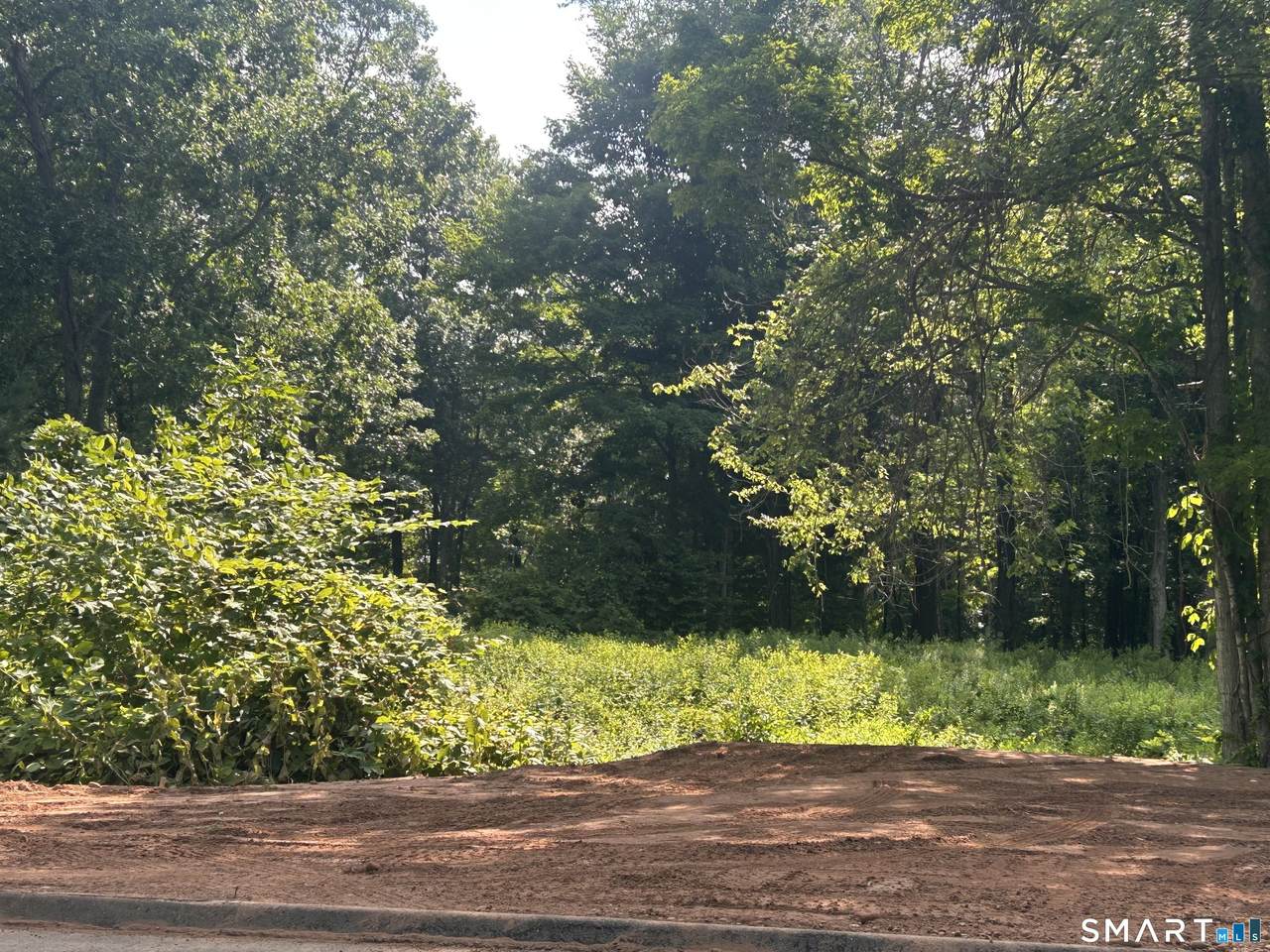 226 Goose Lane - Photo 1