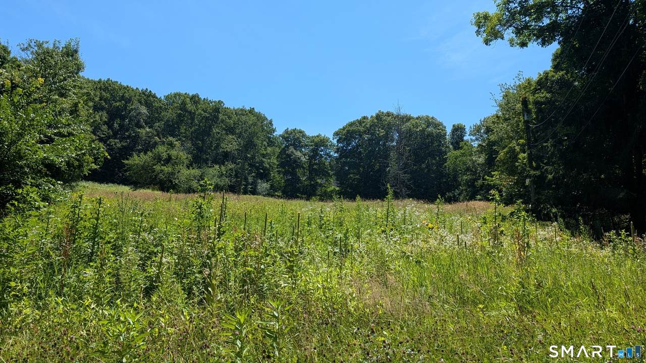 245 Hoop Pole Hill Road - Photo 1