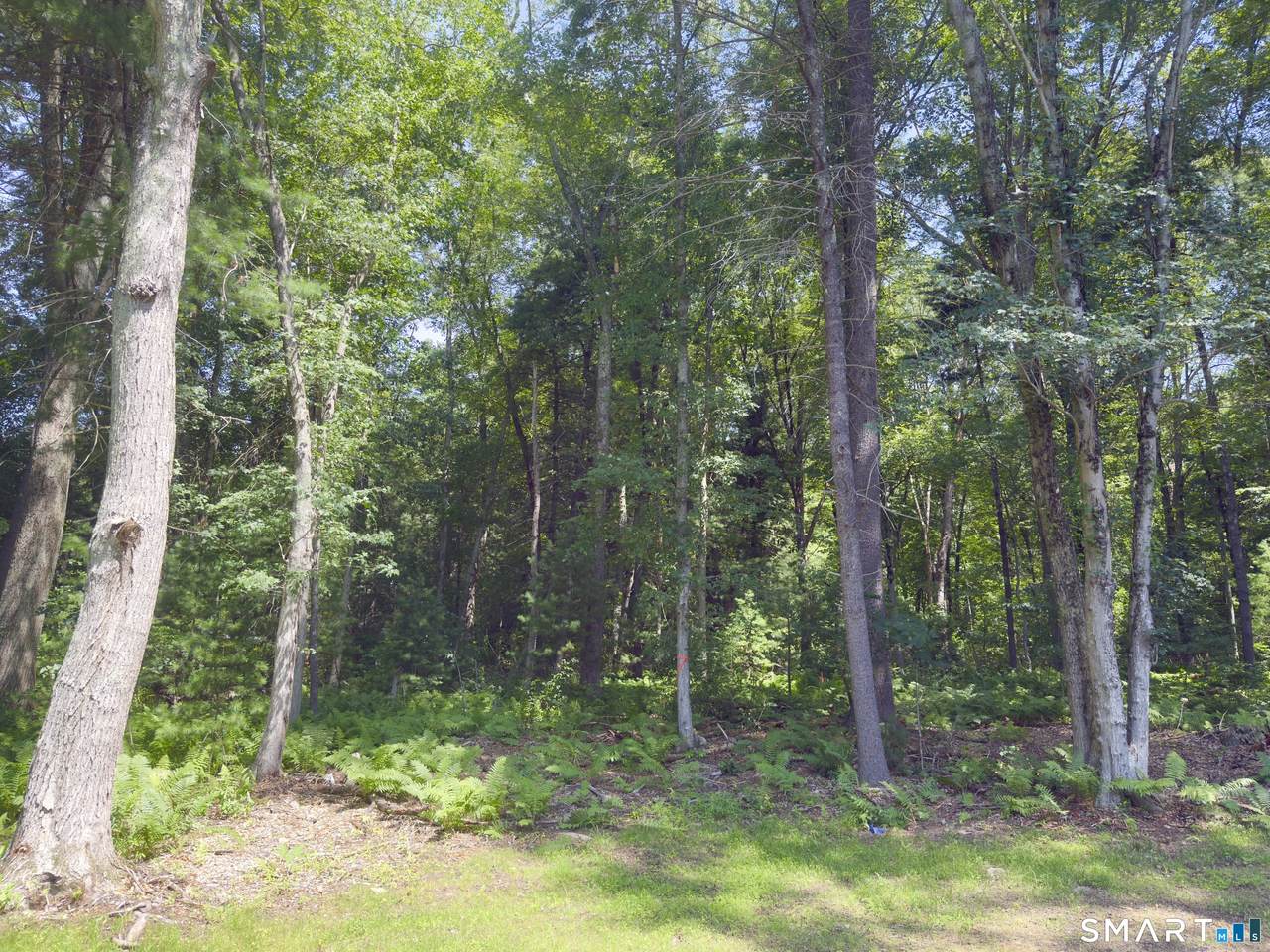  Collelo Avenue - Photo 1
