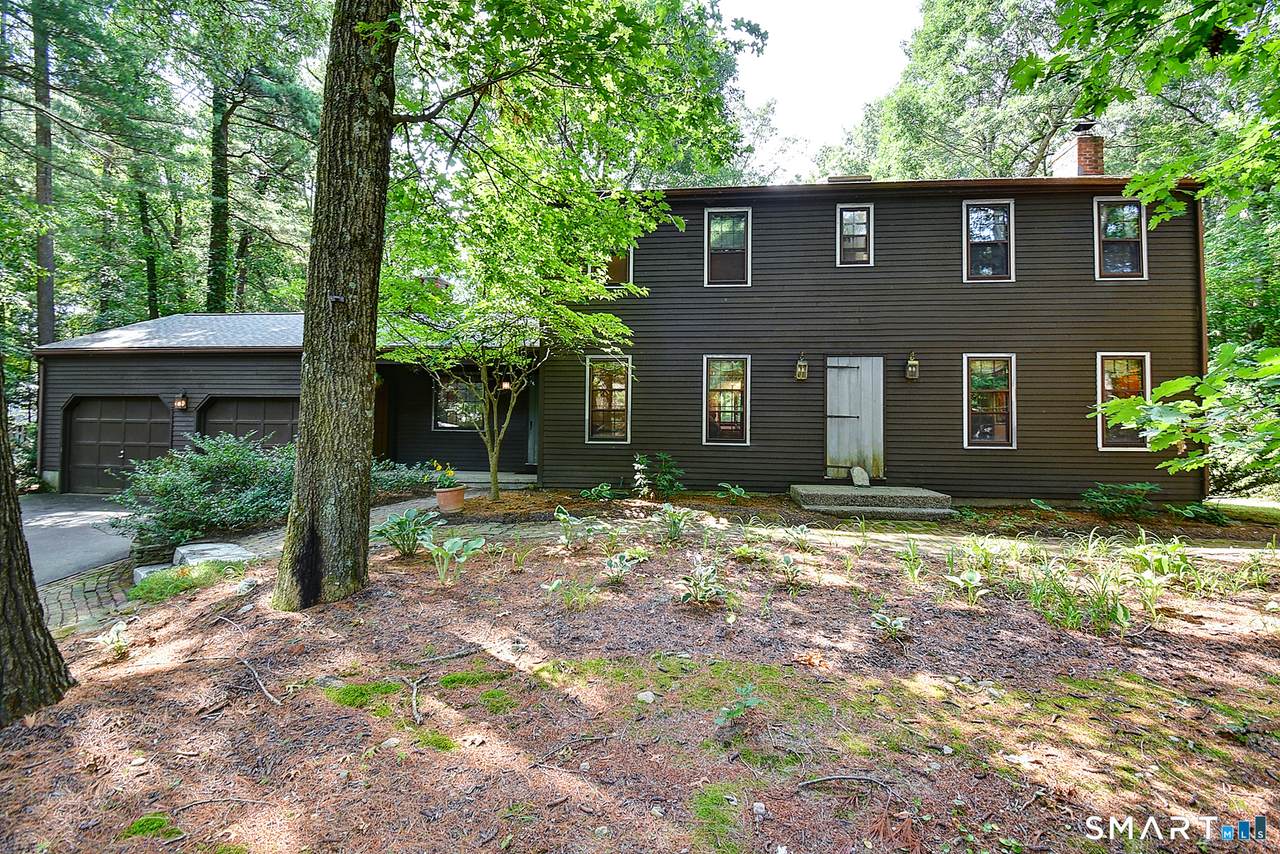 215 Needletree Lane - Photo 1