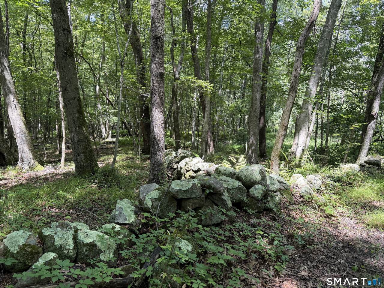 121 Walker Road - Photo 1