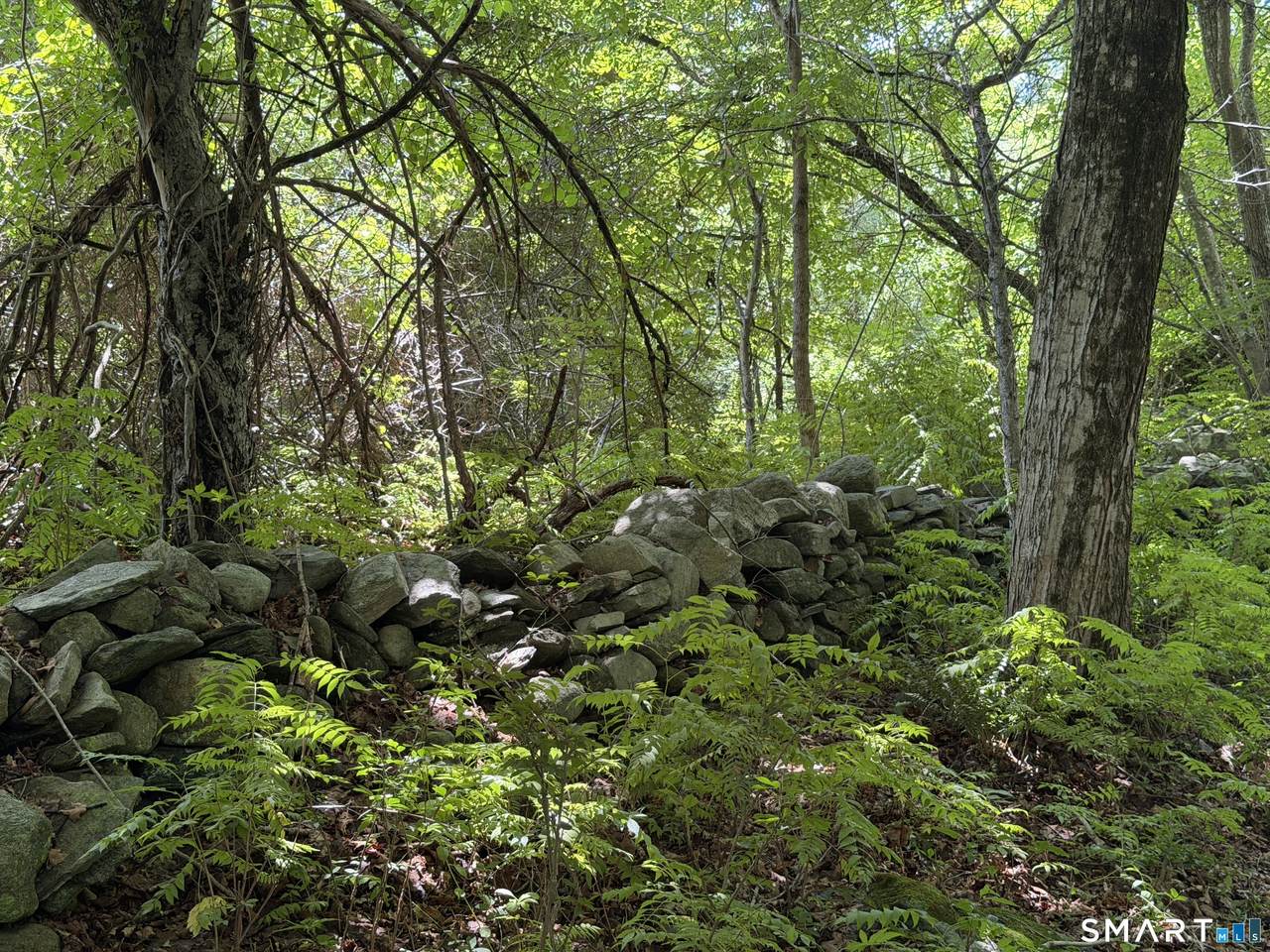 https://bt-photos.global.ssl.fastly.net/ctmls/1280_boomver_1_24194772-1.jpg