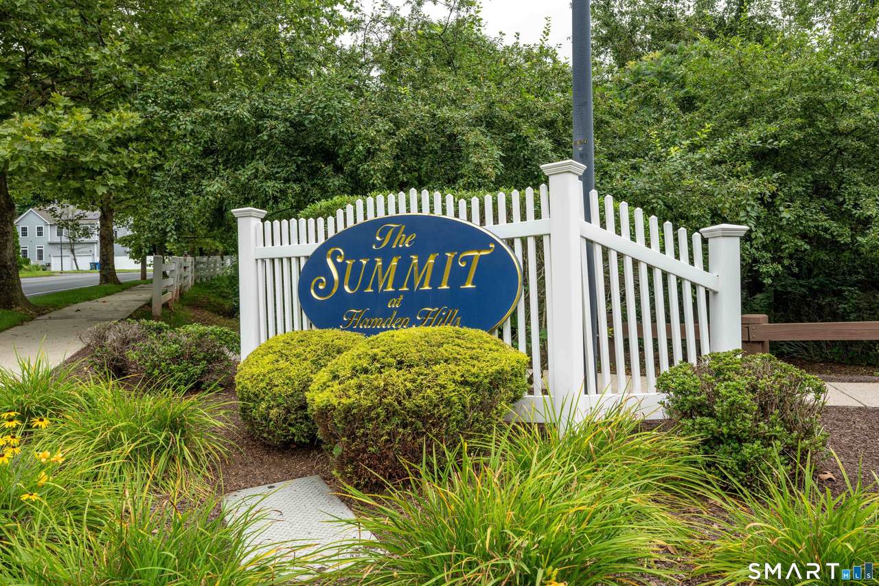 25 Hamden Hills Drive - Photo 1