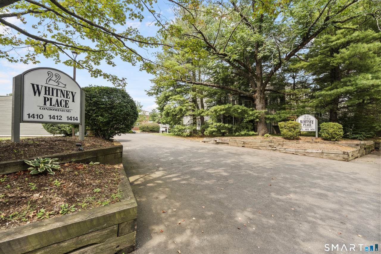 1414 Whitney Avenue - Photo 1
