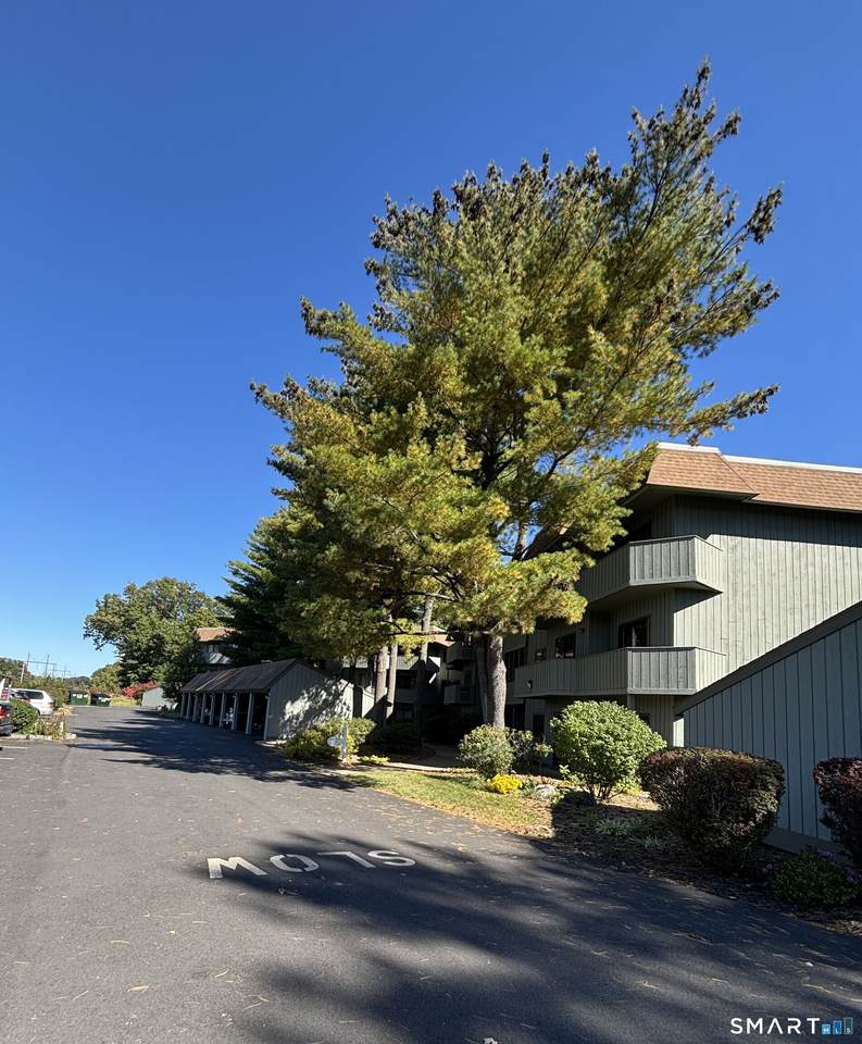 19 Hickory Hill - Photo 1