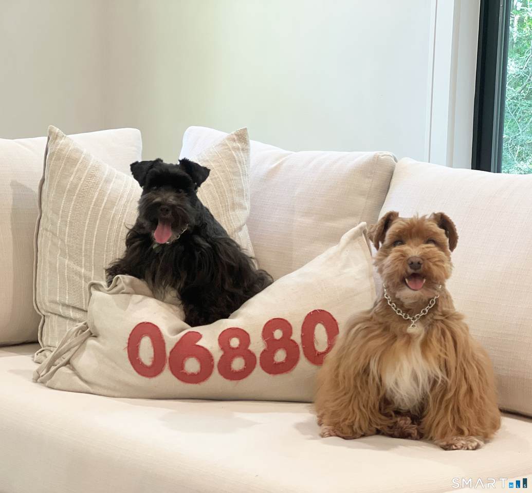 26 Hitchcock Road - Photo 1