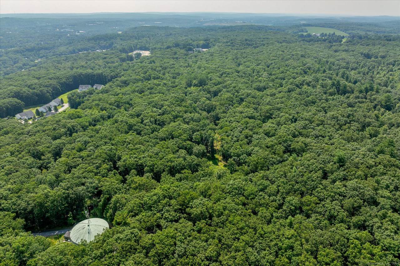 219 Pomfret Street - Photo 1