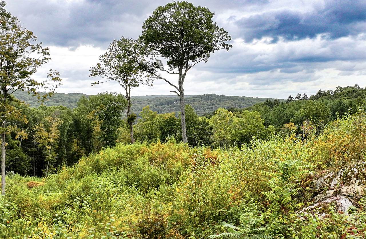 101 Lower Church Hill Road - Photo 1