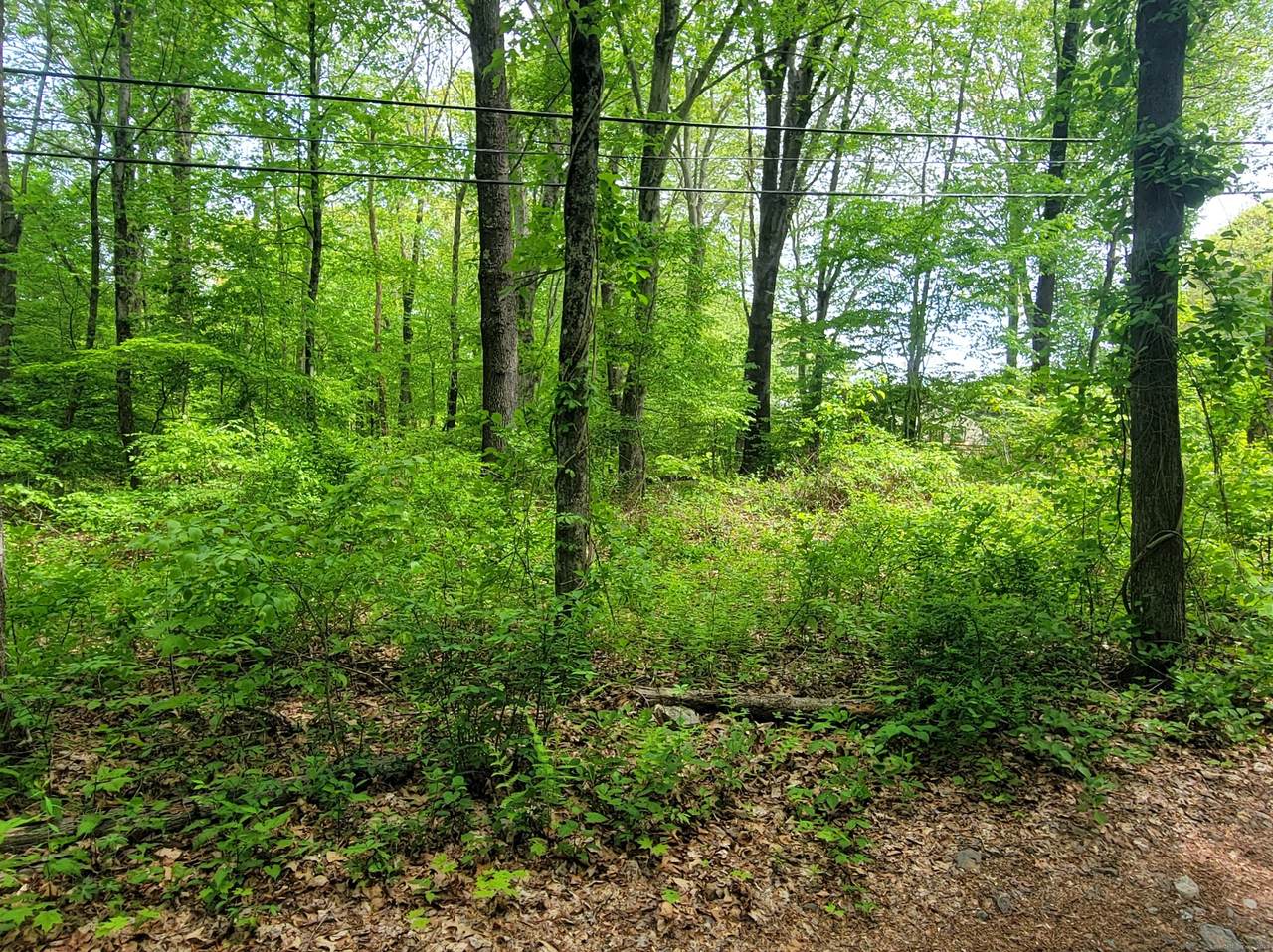 33A Laurel Point Drive - Photo 1