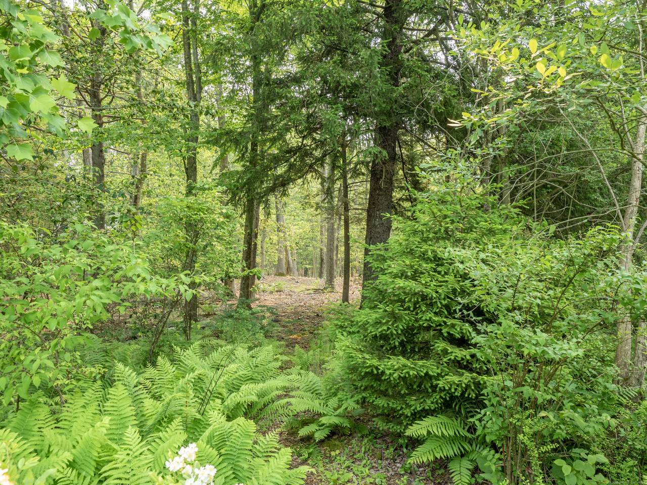 Salem Road - Photo 1