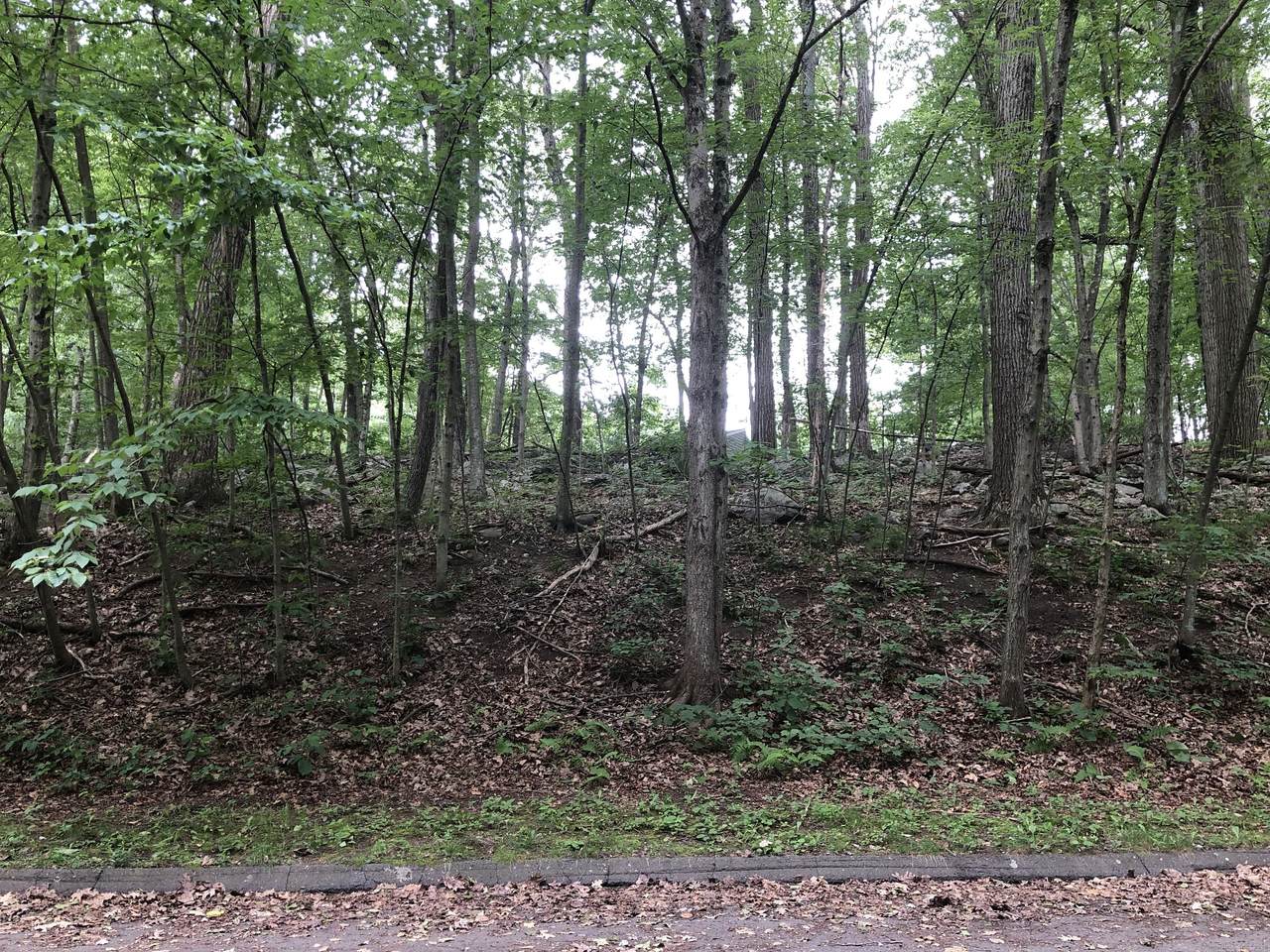 21 Coral Drive - Photo 1