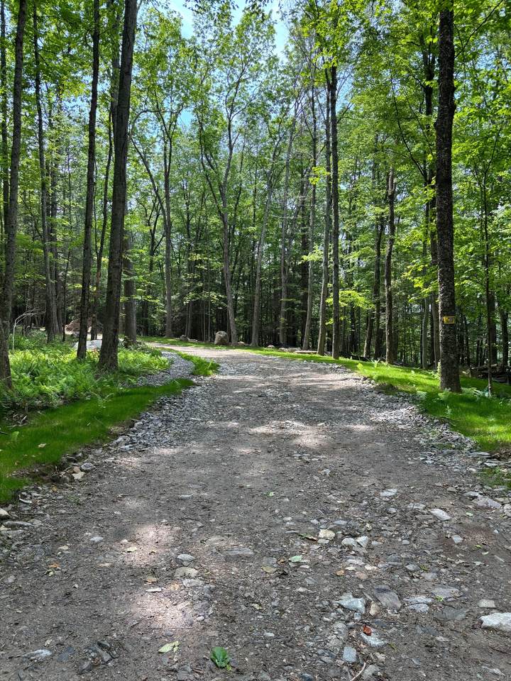 Lot 3 Chalybes Road - Photo 1