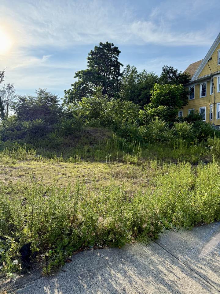 2031 Main Street - Photo 1