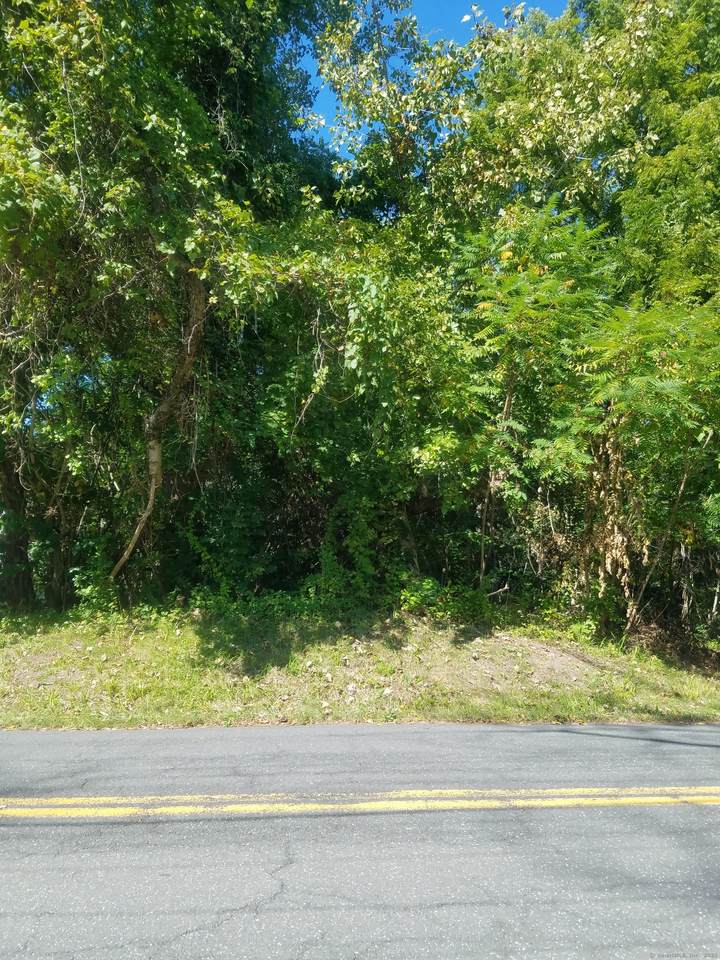 28 & 33 River Road - Photo 1
