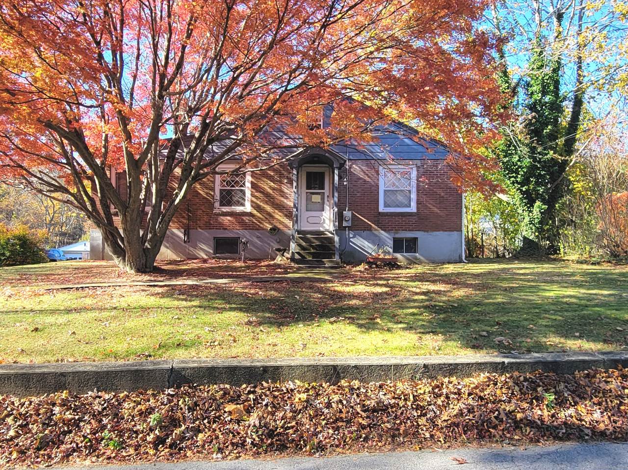 118 Bloomingdale Road - Photo 1