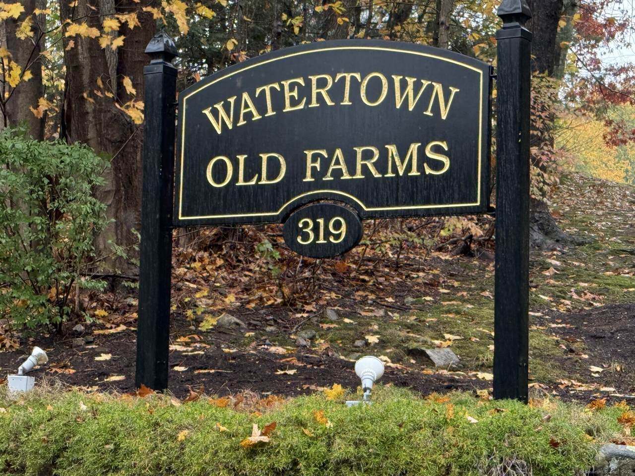 319 Thomaston Road - Photo 1