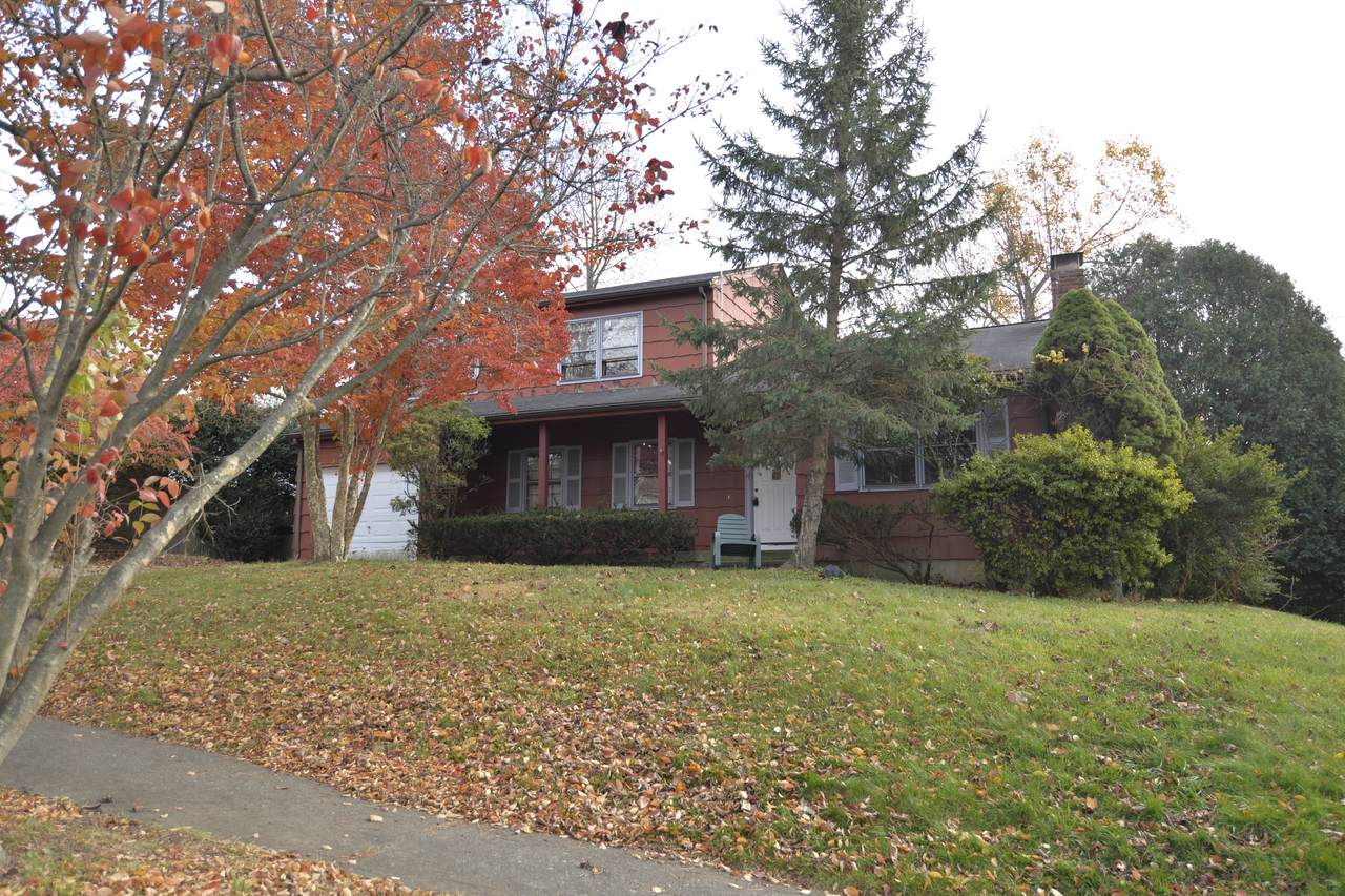 41 Pepperbush Lane - Photo 1