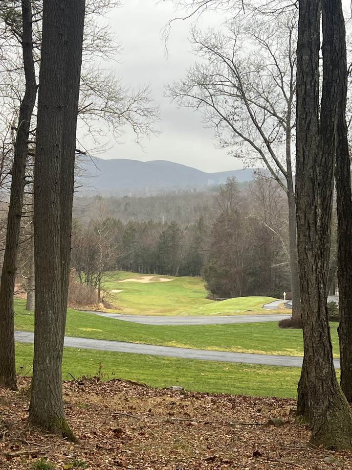 41 Long River Road - Photo 1