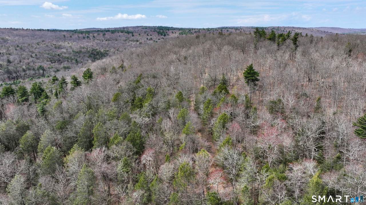  Prock Hill Road - Photo 1