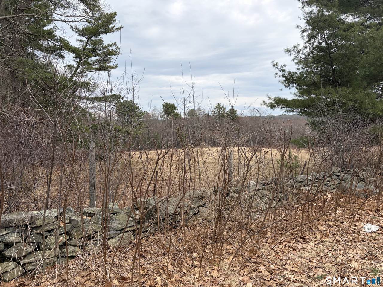 100 Hawkins Road - Photo 1