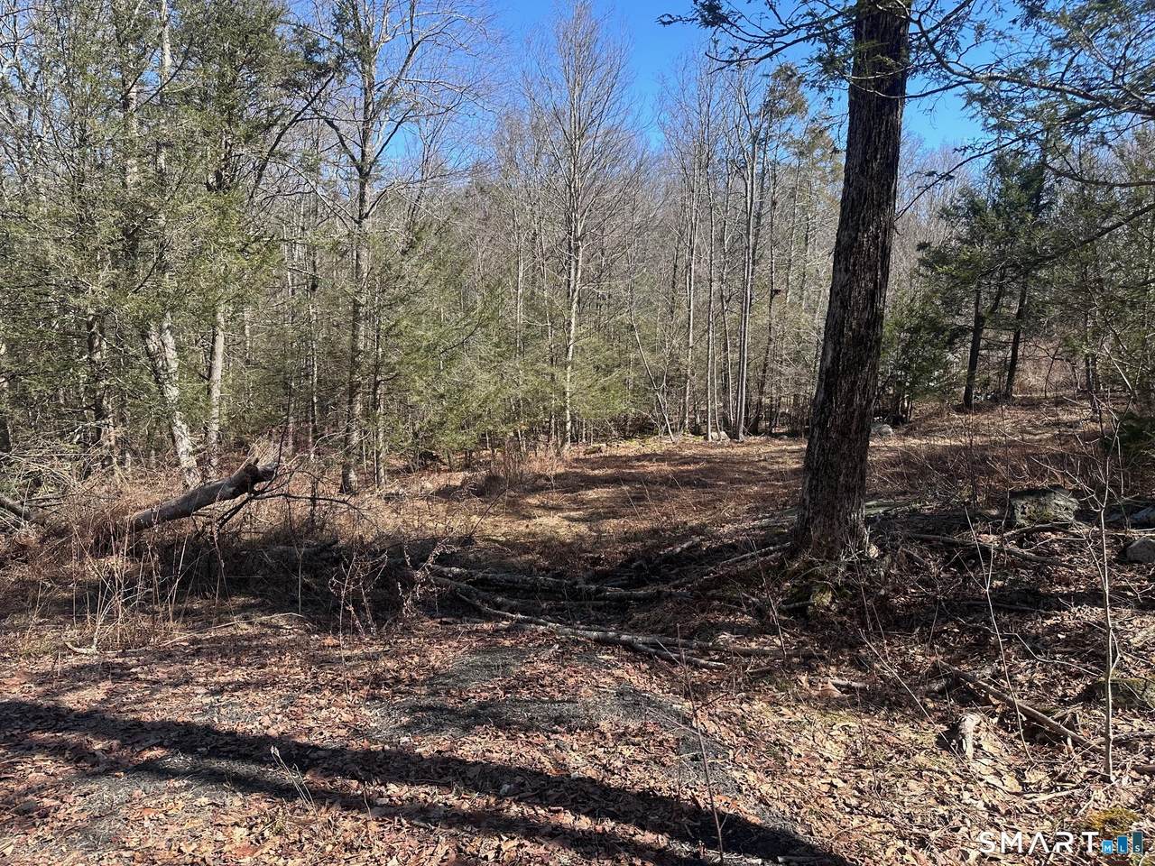302 Gillette Road - Photo 1