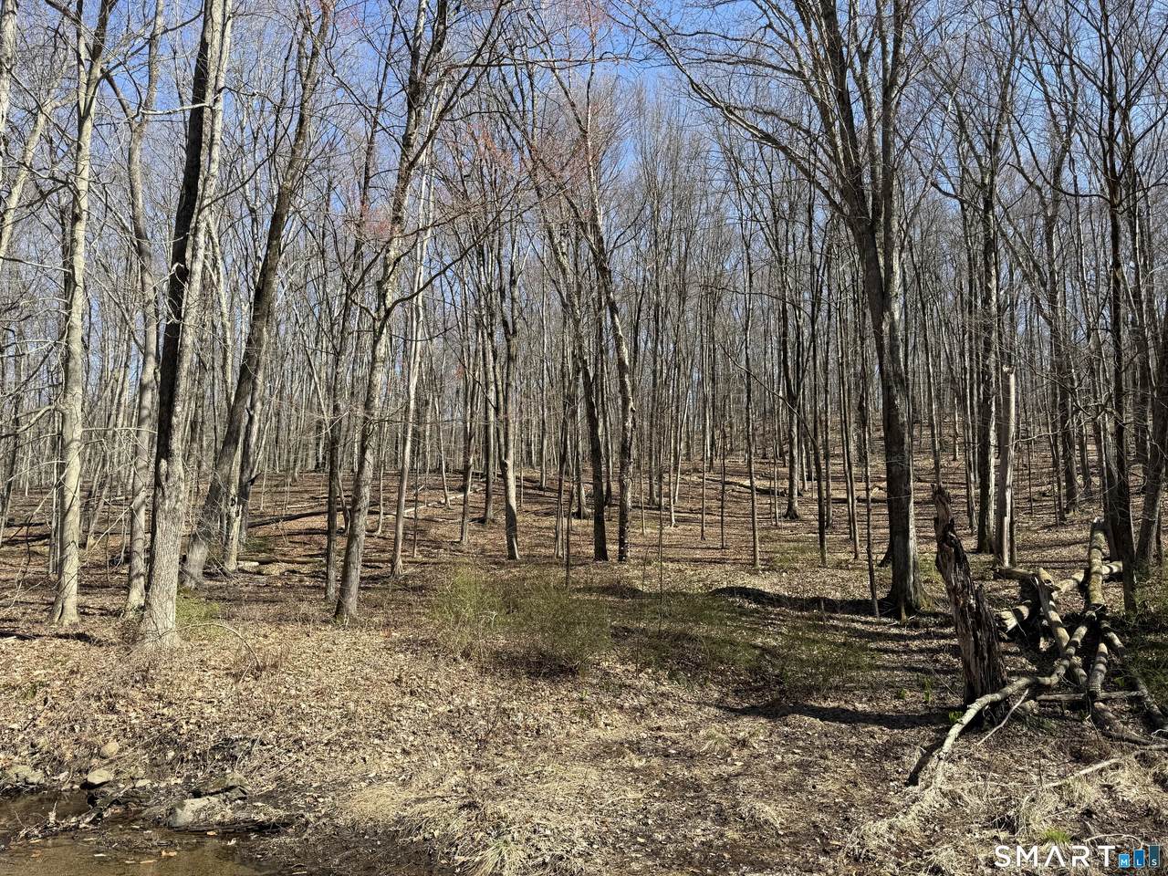 17 Old Bethel Road - Photo 1