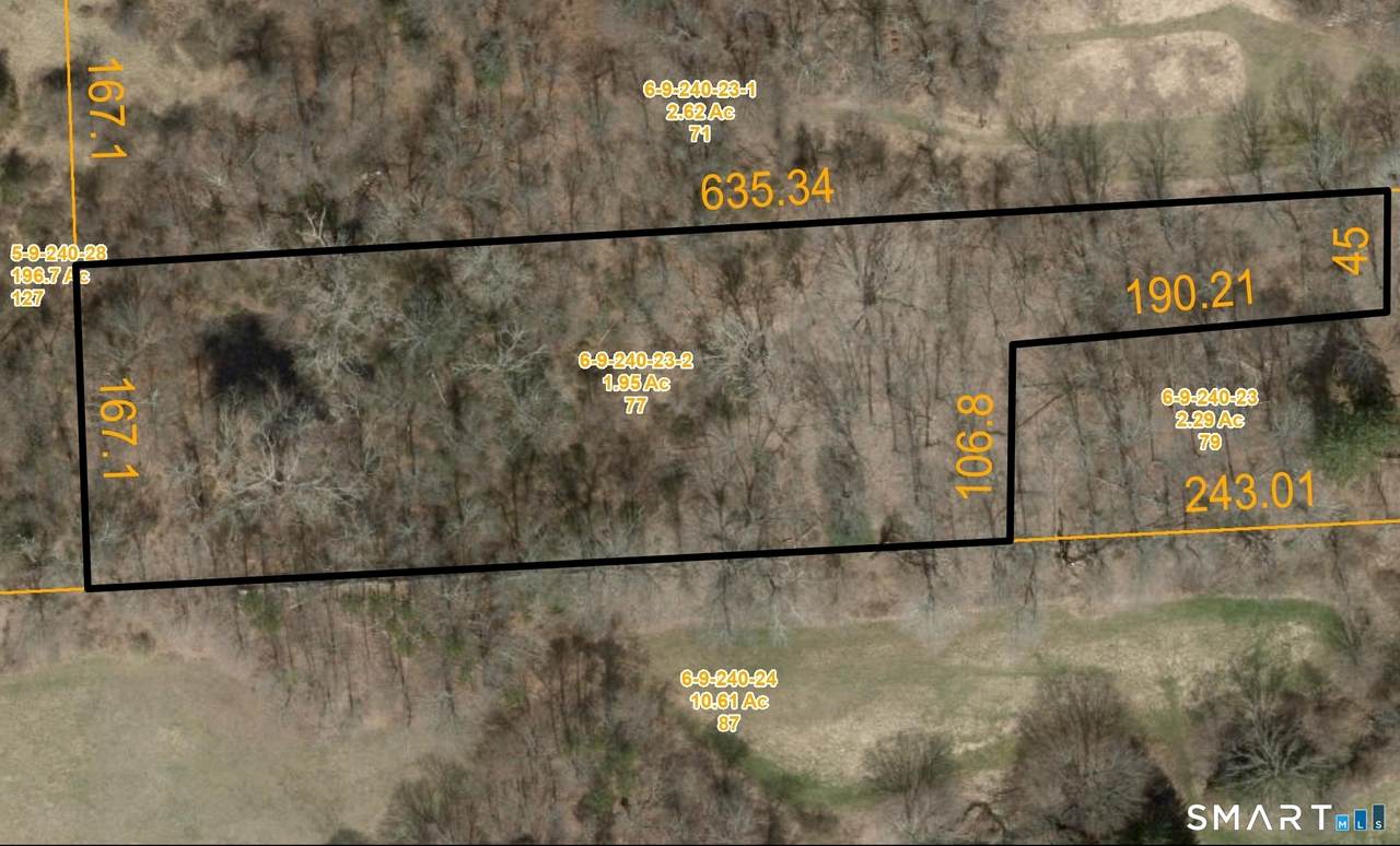 77-R Windham Center Road - Photo 1
