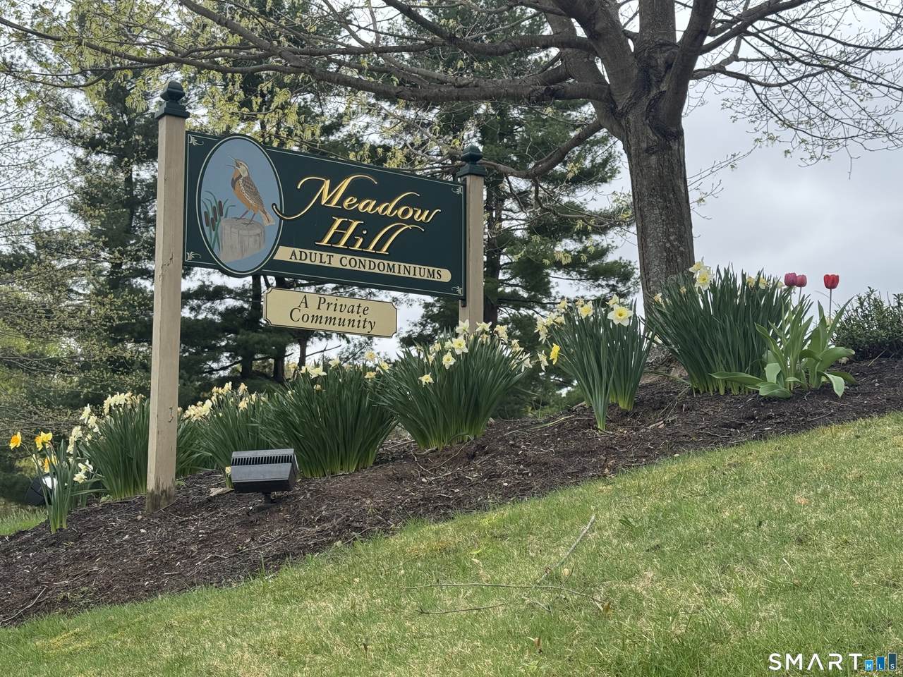74 Hollister Way - Photo 1