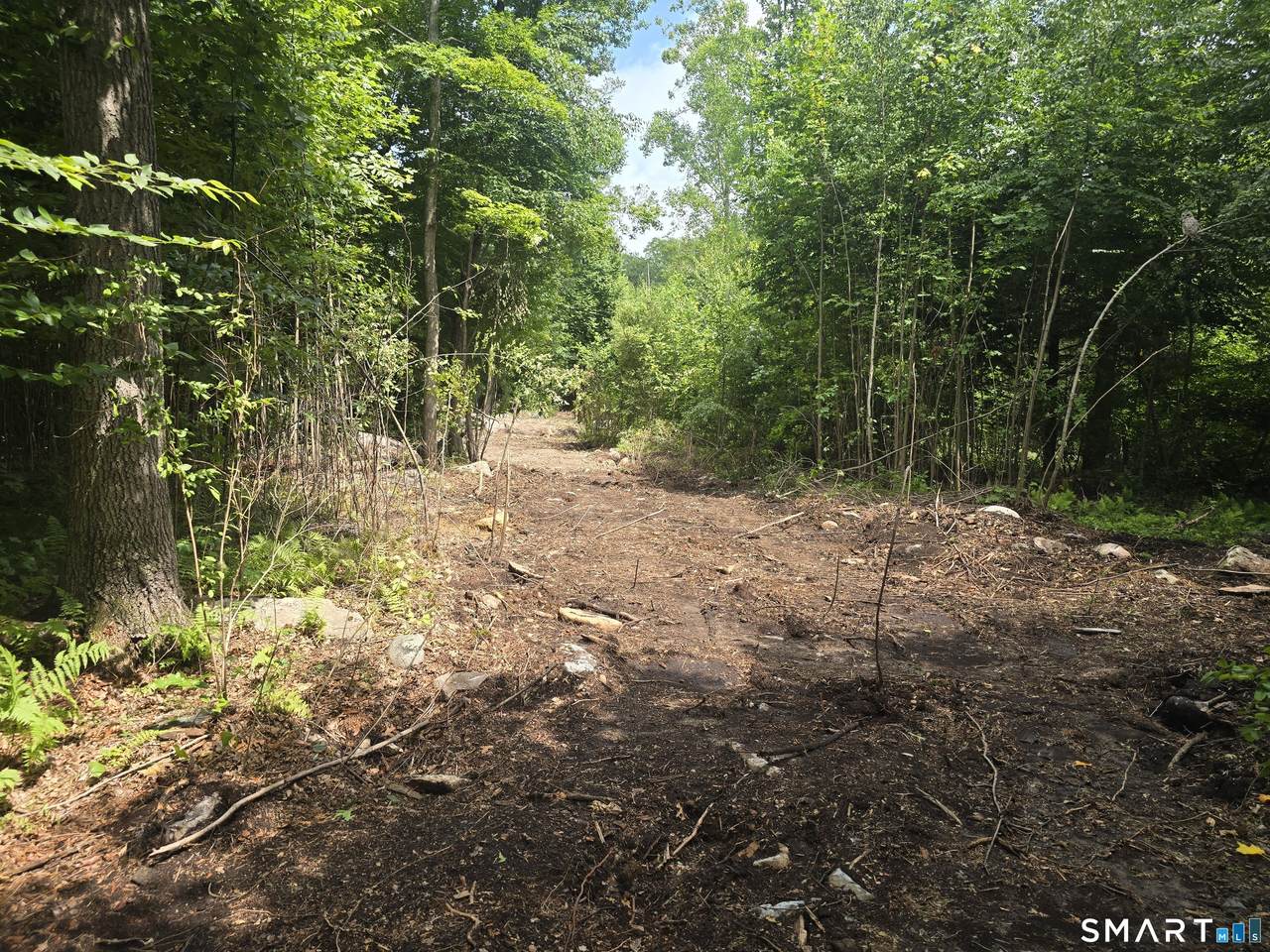  Al Harvey Road - Photo 1