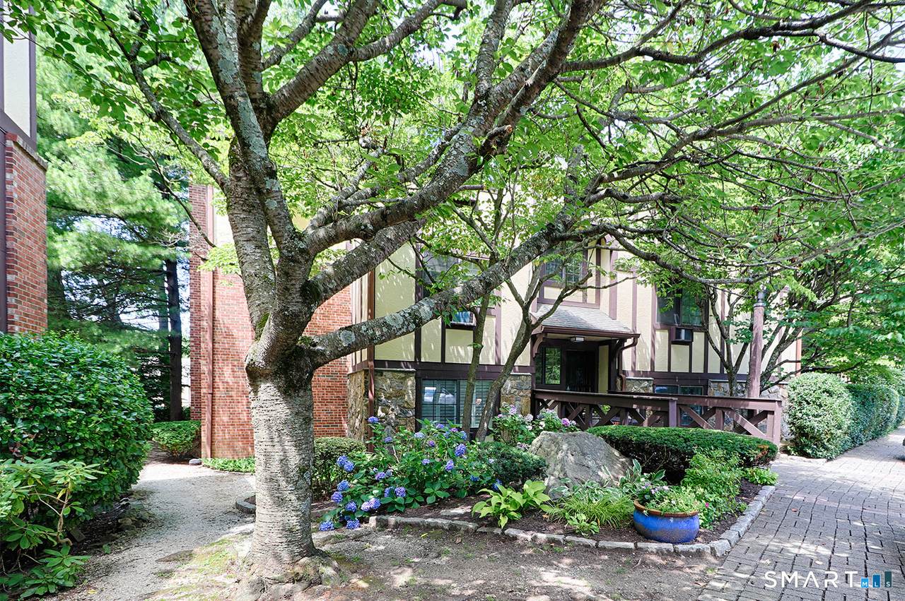 50 Aiken Street - Photo 1