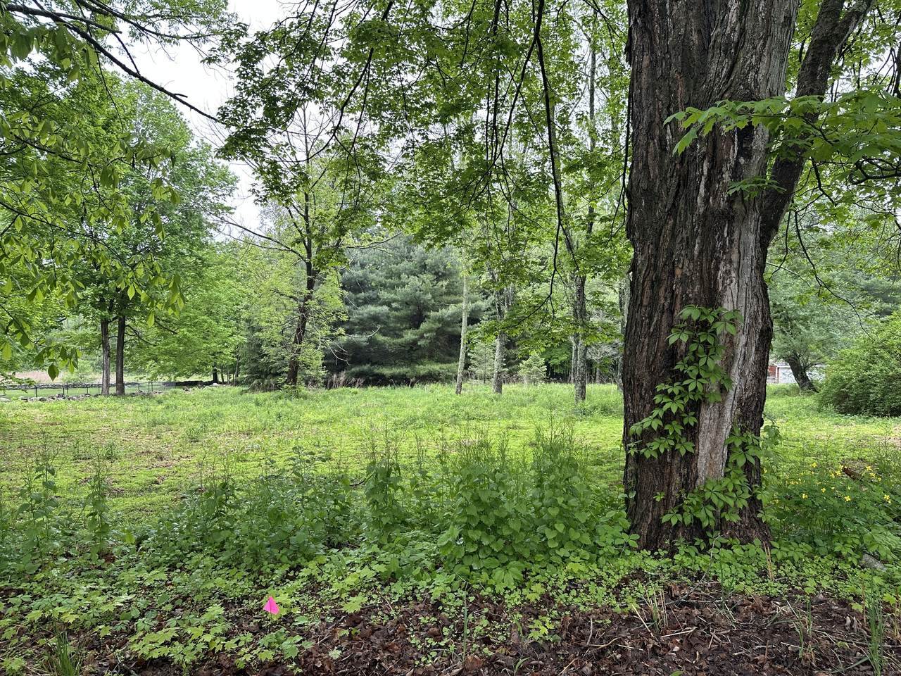  Prospect Hill Road - Photo 1