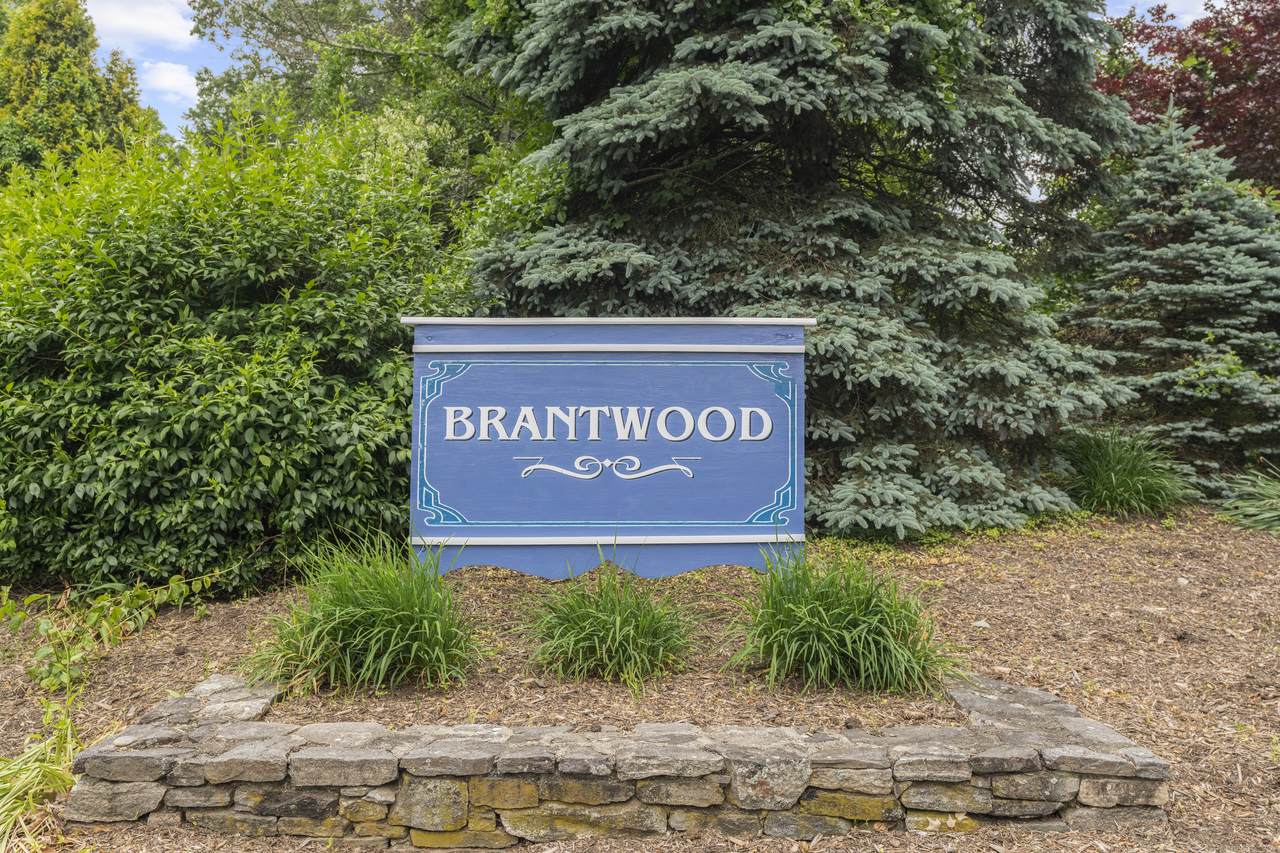 28 Brantwood Drive - Photo 1