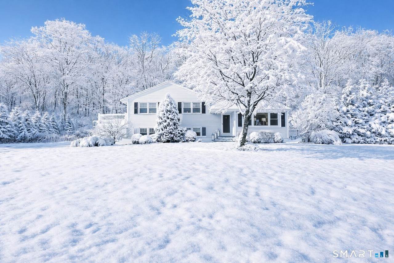 24 Warnock Drive - Photo 1