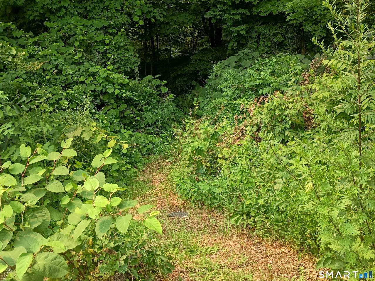 https://bt-photos.global.ssl.fastly.net/ctmls/1280_boomver_3_24179367-1.jpg