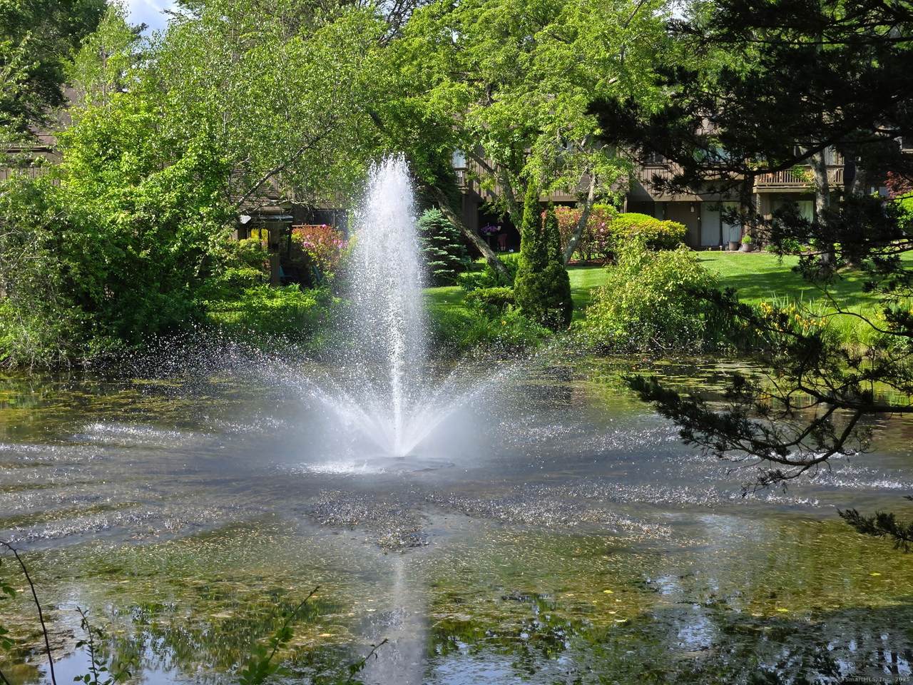 501 Heritage Village - Photo 1