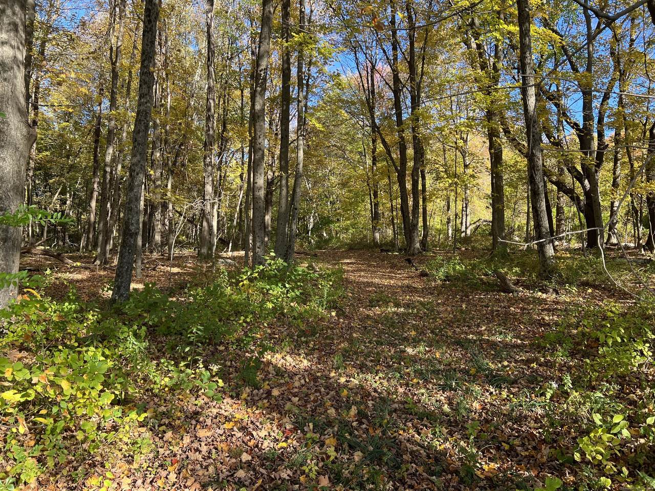  Spooner Hill Road - Photo 1