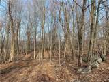 0 Andrew Mountain Road - Photo 11