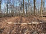 0 Andrew Mountain Road - Photo 13
