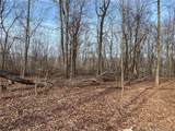 0 Andrew Mountain Road - Photo 14